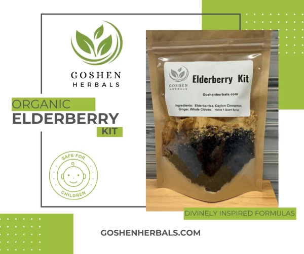 Organic Elderberry Kit featuring dried elderberries, herbal supplements, and natural ingredients neatly arranged in eco-friendly packaging, showcasing a rustic and wholesome approach to health and wellness.