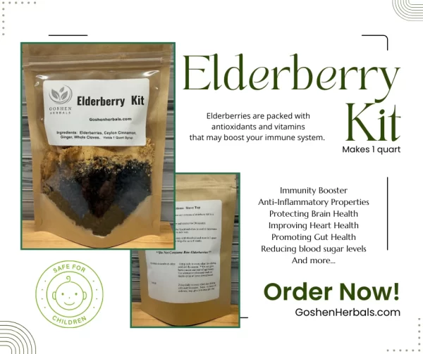 Organic Elderberry Kit featuring dried elderberries, herbal supplements, and natural ingredients neatly arranged in eco-friendly packaging, showcasing a rustic and wholesome approach to health and wellness.